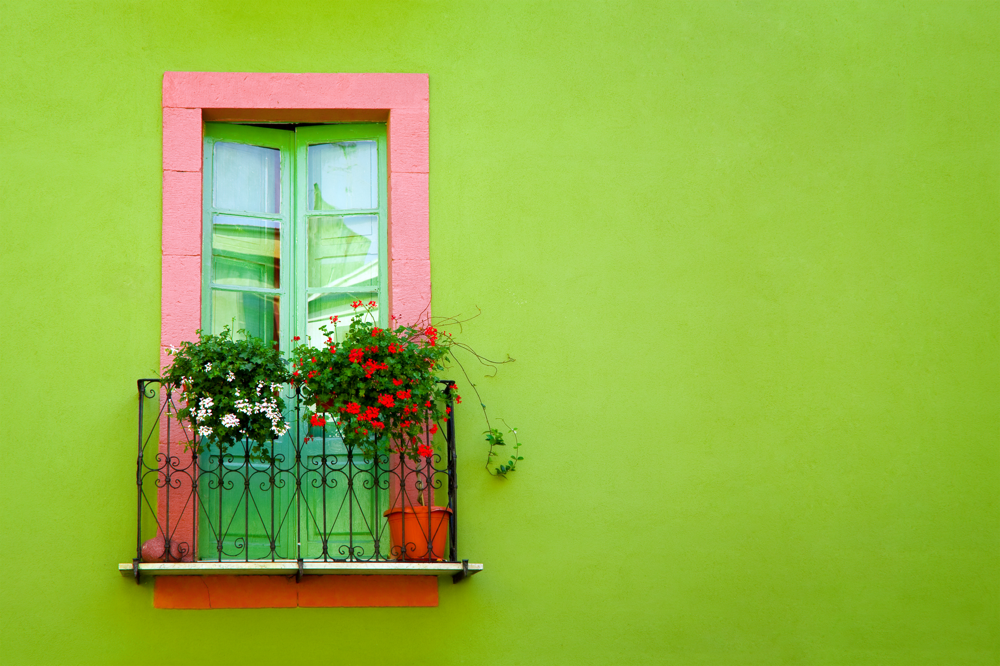 Une peinture écologique pour votre nouvelle maison